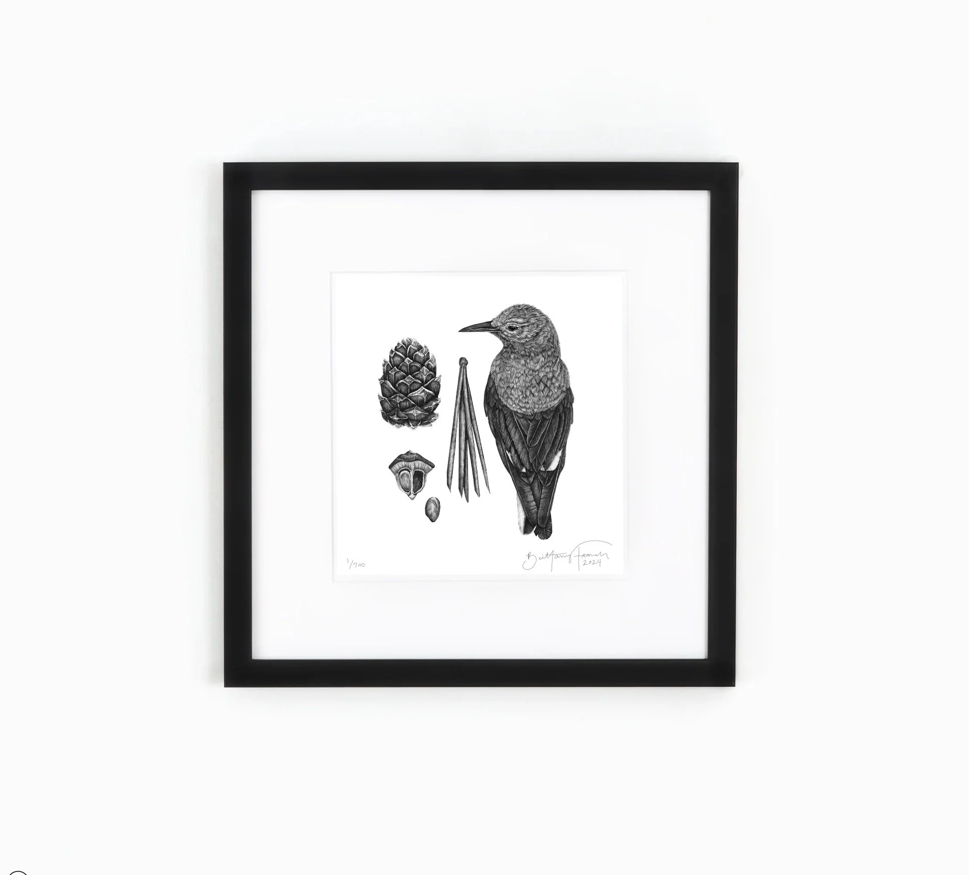 New* — Shop — Brittany Finch Art